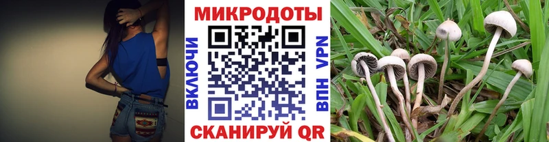 блэк спрут ONION  Красноуральск  Галлюциногенные грибы ЛСД 